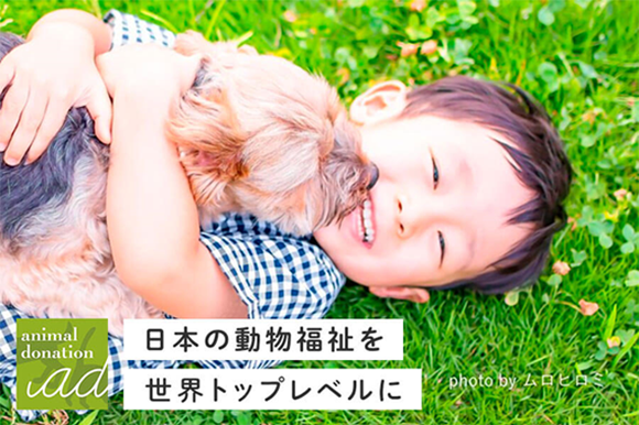 日本の動物福祉を世界トップレベルに