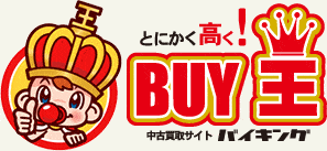 【売約済】こうちゃんさまLP2枚 Yahoo!オークション - 当店にて開封した「未使用品」です STYLEα